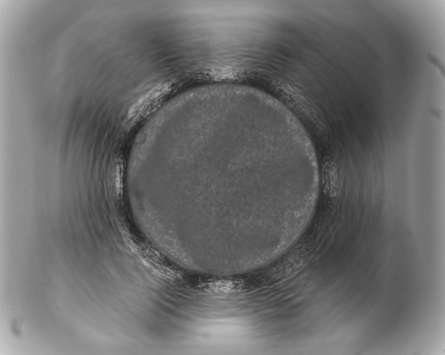 X0000102480740200808291627