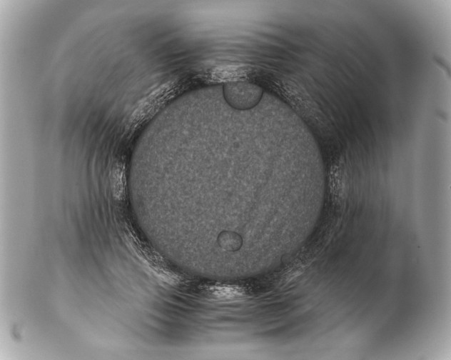 X0000102480741200808291627