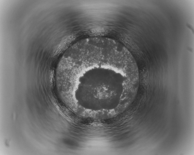 X0000102480742200808291627