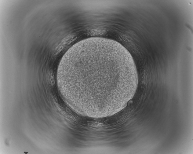 X0000102480743200808291627