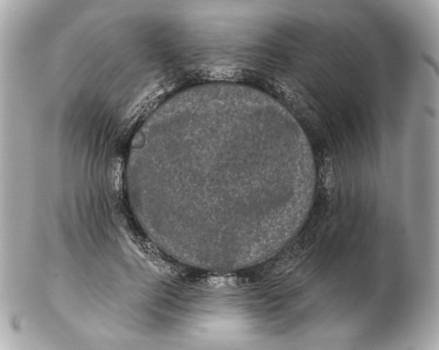 X0000102480744200808291627