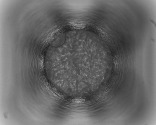 X0000102480745200808291627