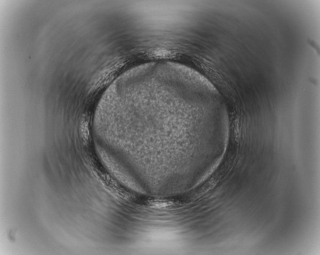 X0000102480746200808291627