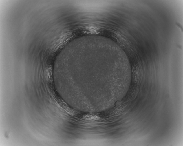 X0000102480747200808291627