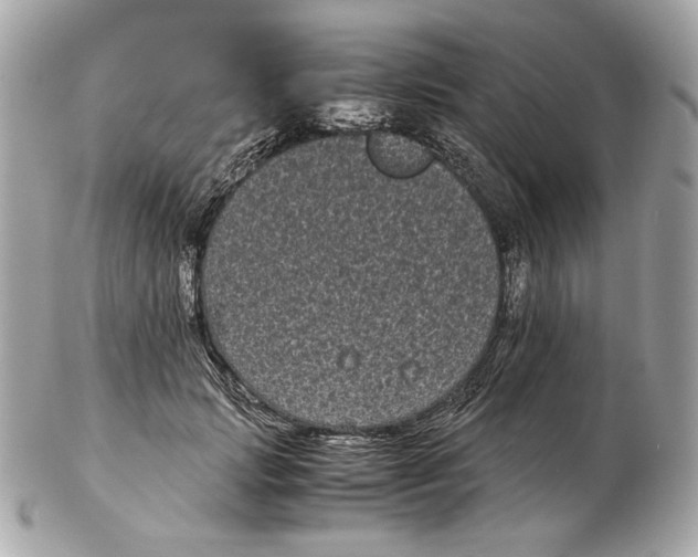 X0000102480749200808291627