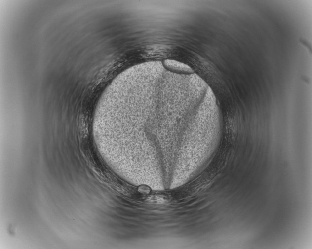 X0000102480751200808291627