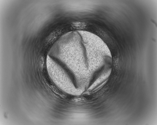 X0000102480752200808291627