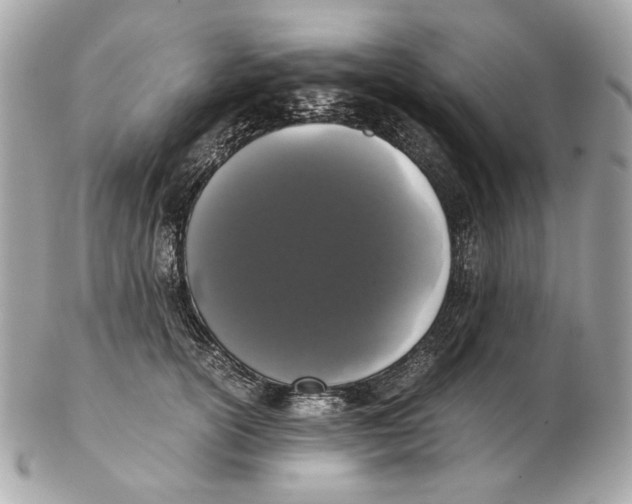 X0000102480754200808291627