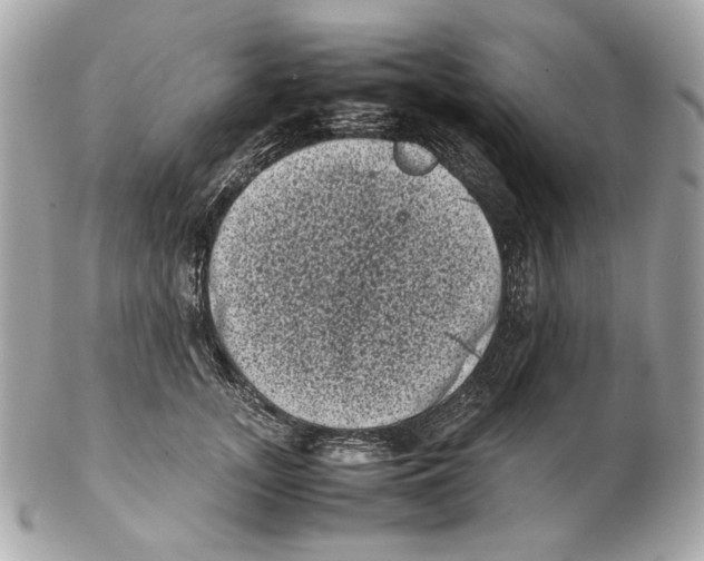 X0000102480755200808291627