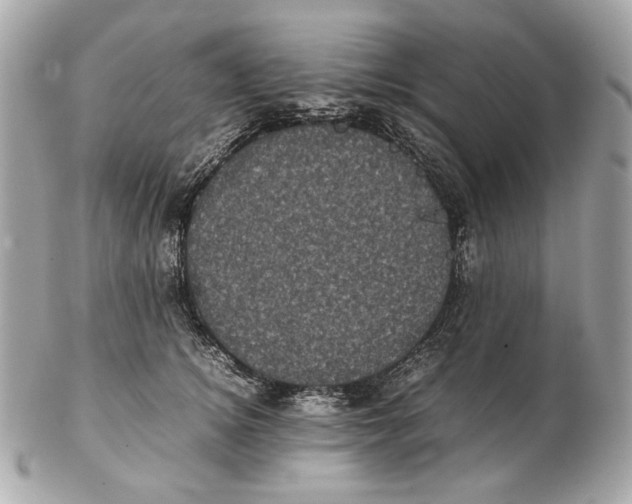 X0000102480756200808291627