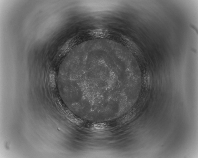 X0000102480757200808291627