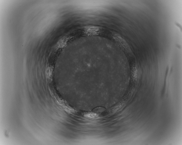 X0000102480759200808291627