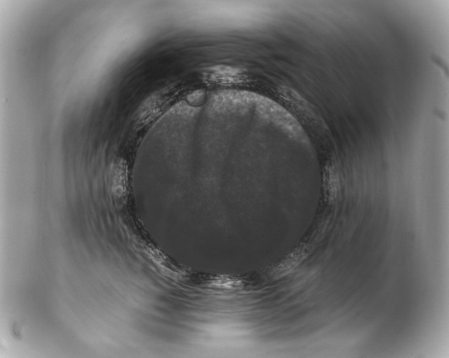 X0000102480760200808291627