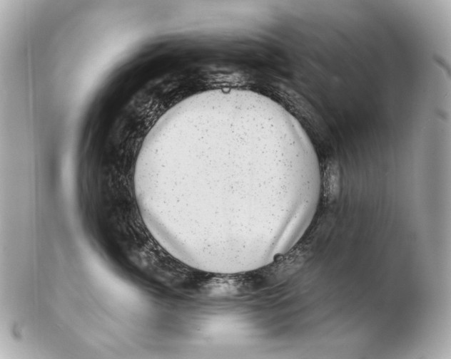 X0000102480764200808291627