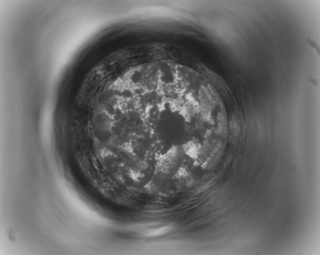 X0000102480765200808291627