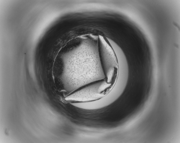 X0000102480766200808291627