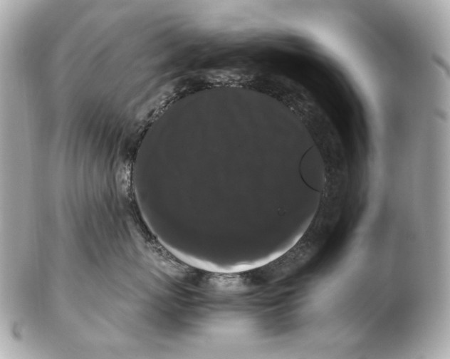 X0000102480767200808291627