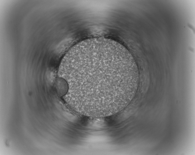 X0000102480768200808291627