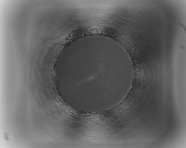 X0000102480769200808291626