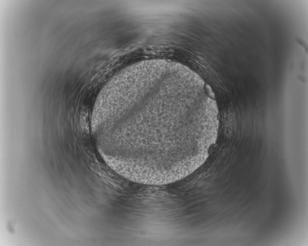 X0000102480770200808291626