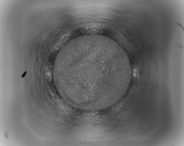 X0000102480771200808291626