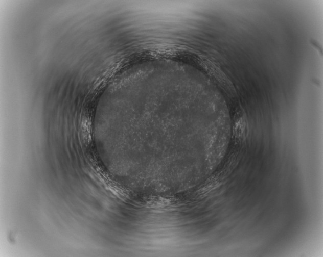 X0000102480772200808291626