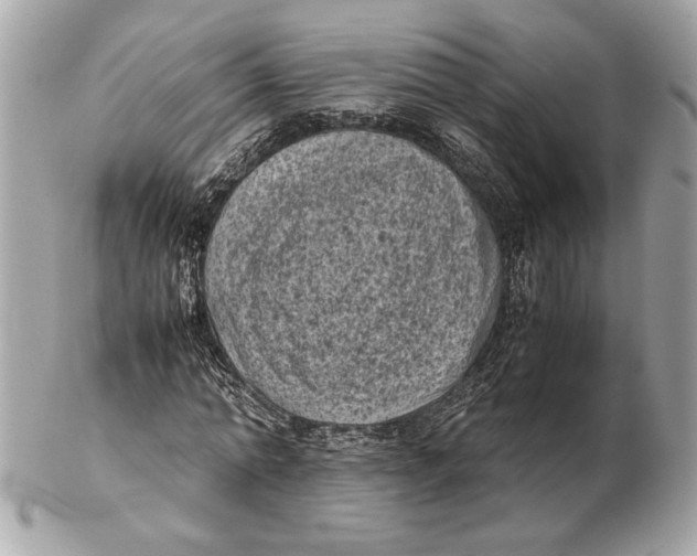 X0000102480774200808291626