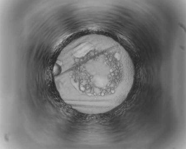 X0000102480776200808291626