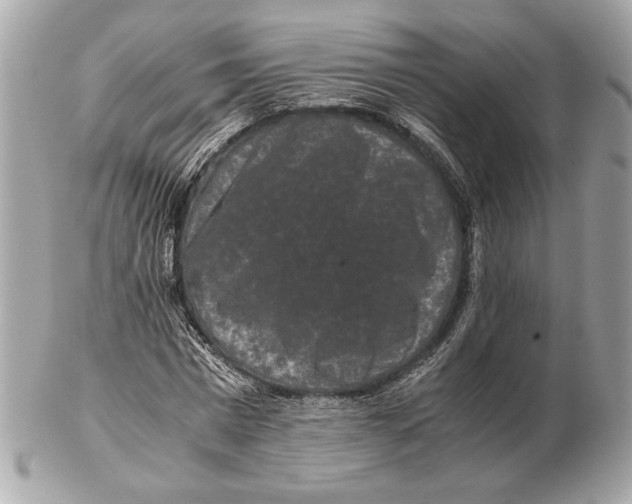 X0000102480777200808291626