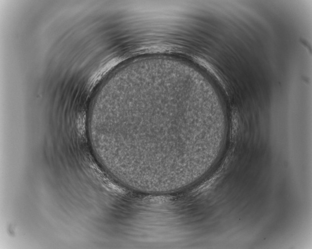 X0000102480778200808291626