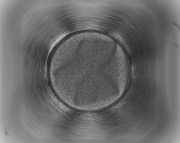 X0000102480780200808291626