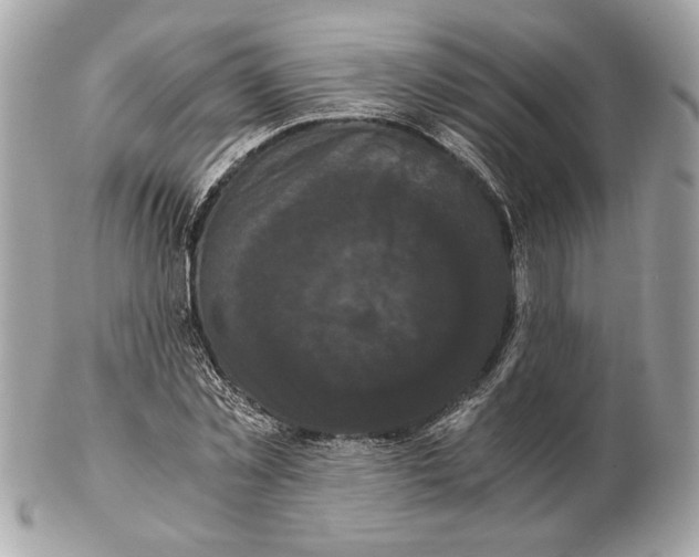 X0000102480781200808291626