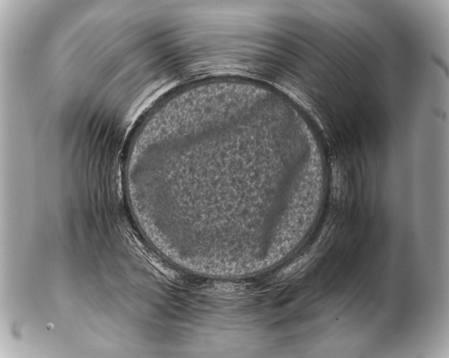 X0000102480782200808291626