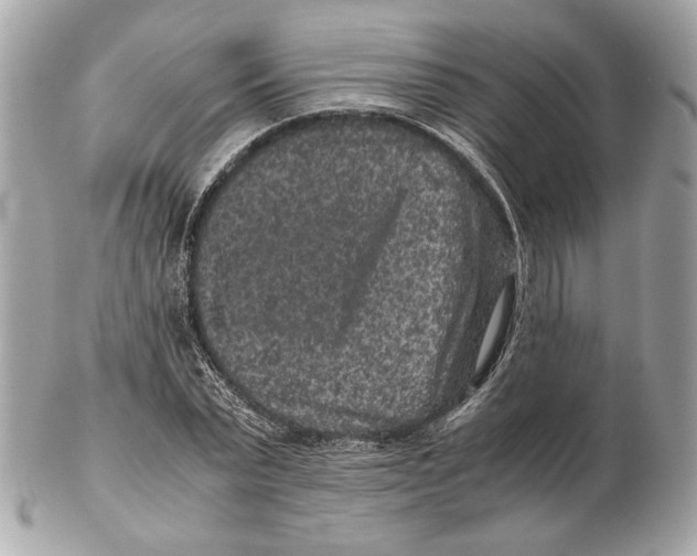 X0000102480783200808291626