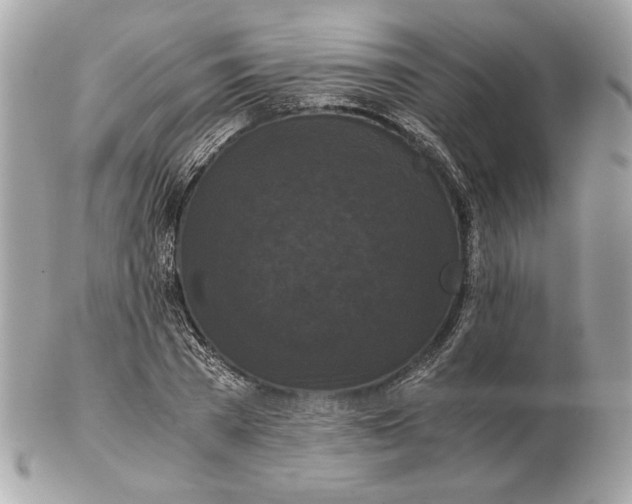 X0000102480785200808291626