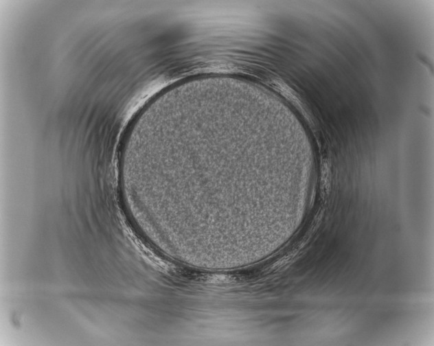 X0000102480787200808291626