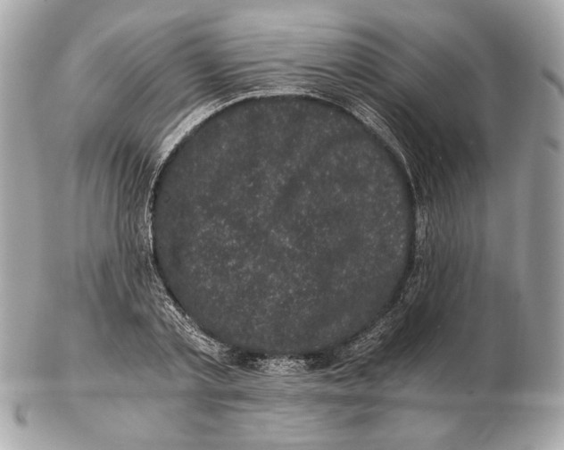 X0000102480789200808291626