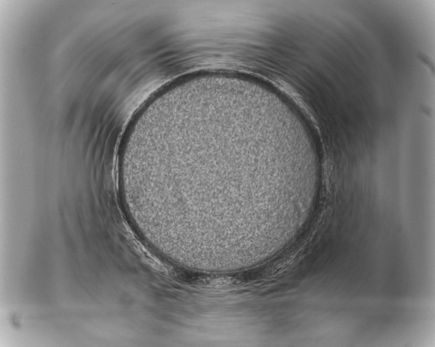 X0000102480791200808291626