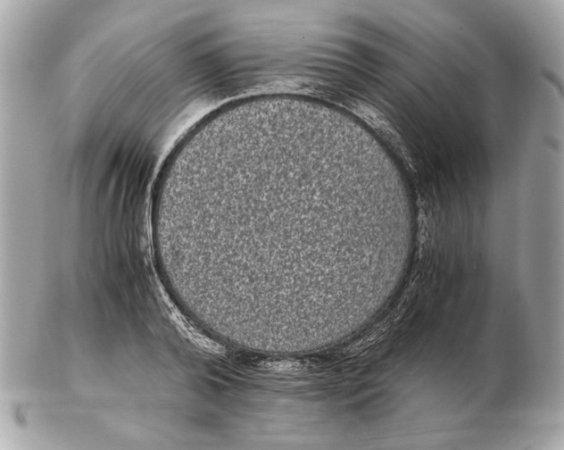 X0000102480792200808291626