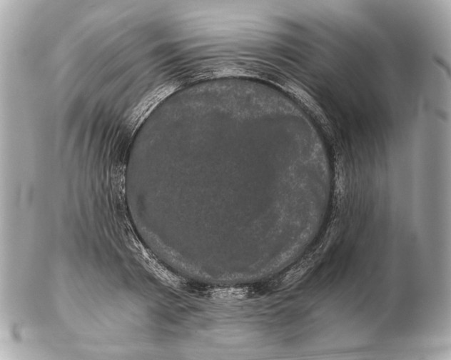 X0000102480793200808291626