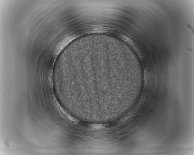 X0000102480794200808291626