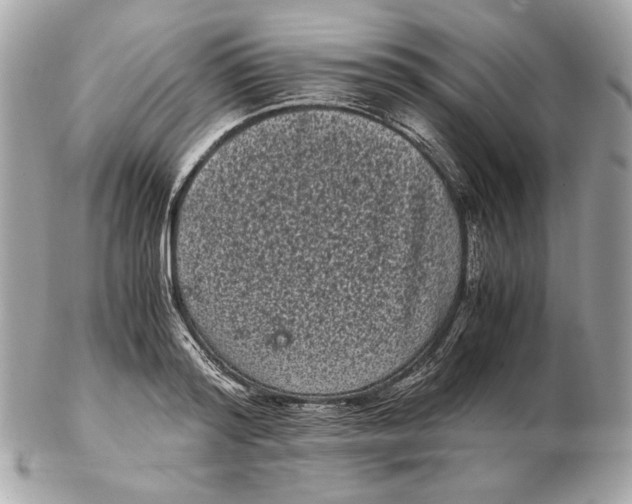 X0000102480796200808291626