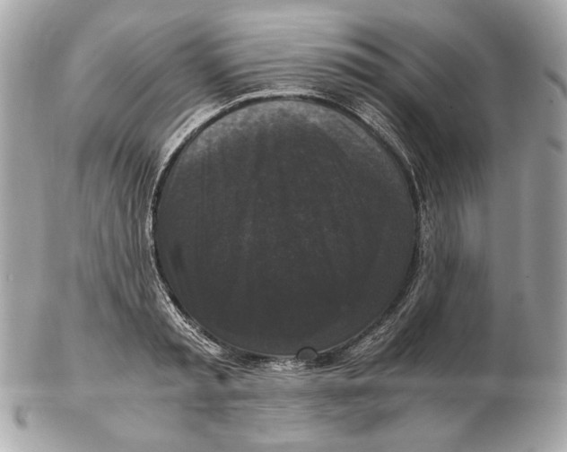 X0000102480797200808291626