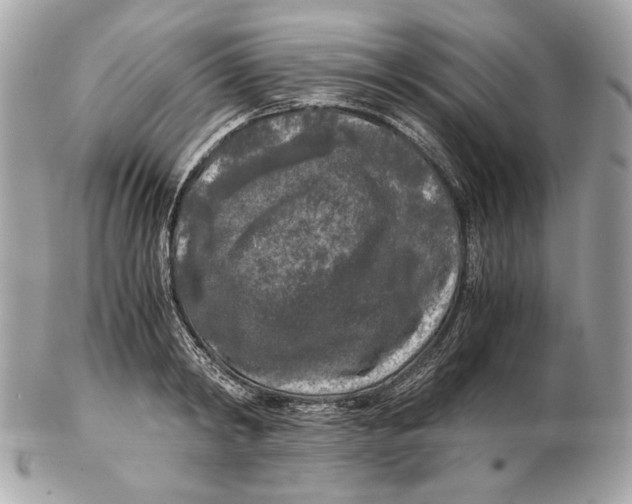 X0000102480798200808291626