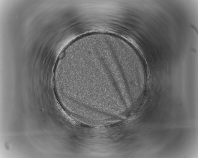 X0000102480799200808291626