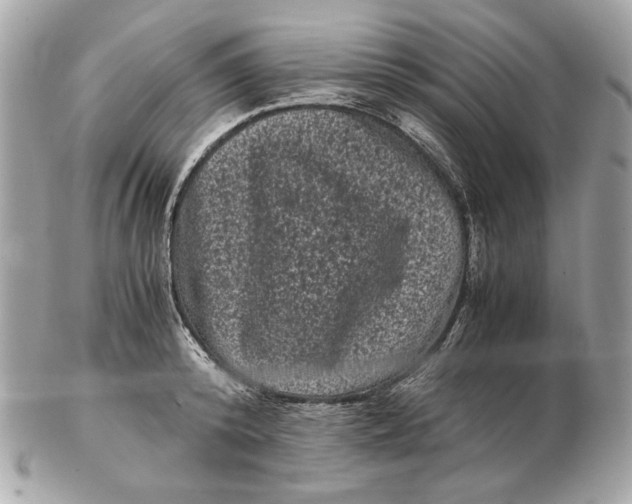 X0000102480800200808291626