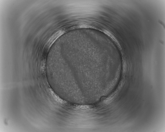 X0000102480801200808291626