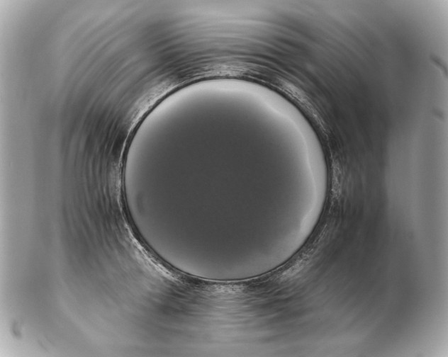 X0000102480802200808291626