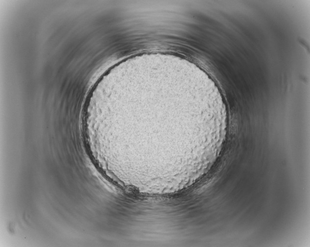 X0000102480803200808291626