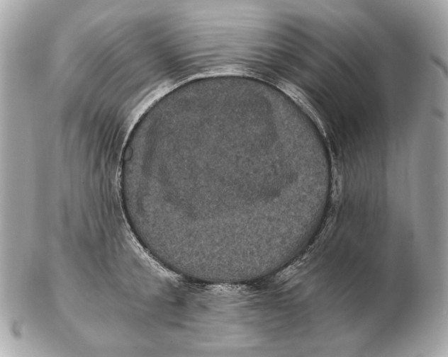 X0000102480805200808291626